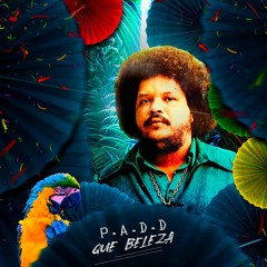 P.A.D.D - Que Beleza (Tim Maia) Radio Edit