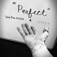 “Perfect” Ft. LITTY T (Prod. yungdan)