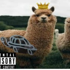 Llamae 2 (the awakening)