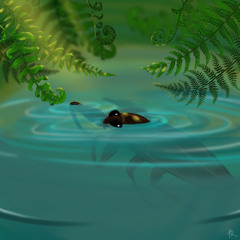 Waterbug (Original Mix)