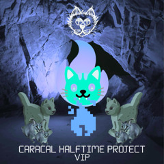 Spikecat - CARACAL HALFTIME PROJECT VIP