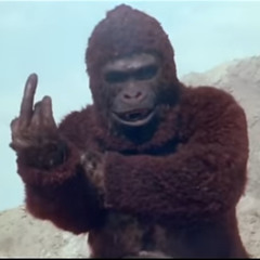The King Kong Song