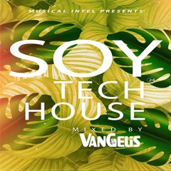 SOY TECH 24