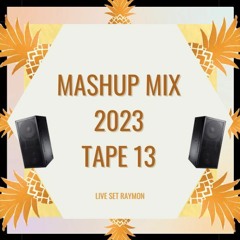 EDM-Mashup Mix | Live set 2023 | TAPE 13(Mike Williams, Curbi, Oliver Heldens, Fred Again..., UMEK