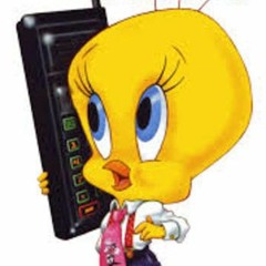 #2 ZY - 1 // FUITE OPPORTUNE