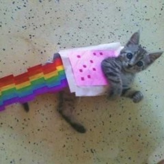 nyan cat shit