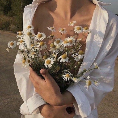 عمرودياب