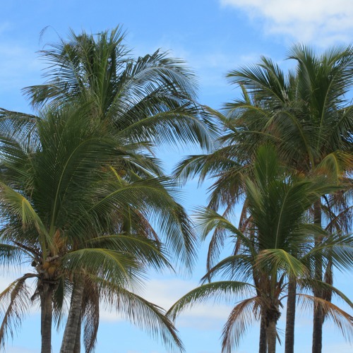 RAP POP EDM MASHUP REMIXES - BEST OF 2024