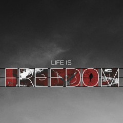 Life is Freedom (Feat. Arvin Fallah)
