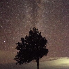 Ancestors (FamilyTree)