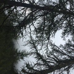 VA - Dunstkreis (A.T.C. Records)