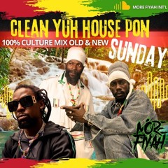 CLEAN YUH HOUSE PON SUNDAY !! VOL 1. 100% CULTURE MIX OLD & NEW MIXED BY @MOREFIYAH_DREADD #REPOST
