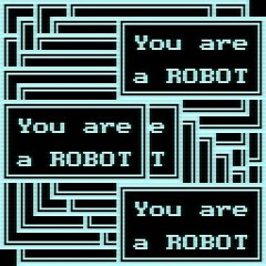 You are a ROBOT