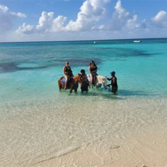 Review Special Price Beach Trail And Swim Cockburn Town Grand Turk Turks Caicos