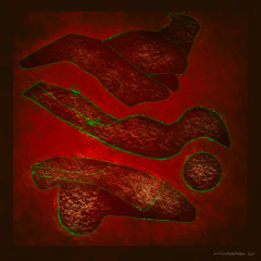 jean françois canappe