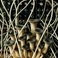 Mushroom Jazz 25 - Mark Farina