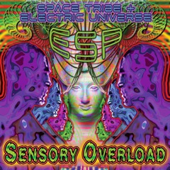 Pozitronic Brain (Original Mix)