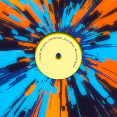 The Almanac Of The future (Dub Edit)