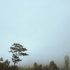 Novo Amor - State Lines (One Take - Cover)