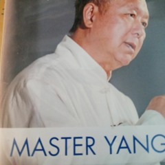Meditation- Opening your 3rd Eye-w Dr Yang-28 min meditation