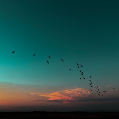 Signs