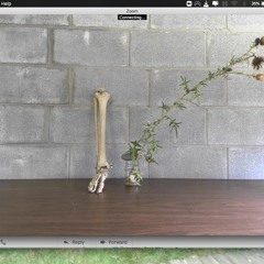 LOOP 5 - TILLING LOOP