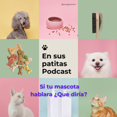 EN SUS PATITAS |PODCAST |RO BILOTA | Episodio piloto
