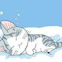 Don't Say Your Sorry