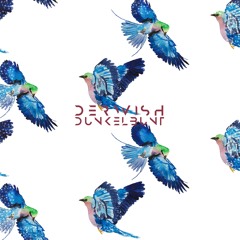 DerWish (The Roaring 2020) - [dunkelbunt]