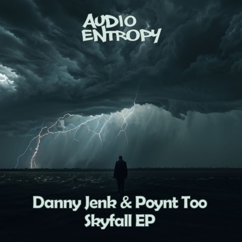 Danny Jenk & Poynt Too - Skyfall