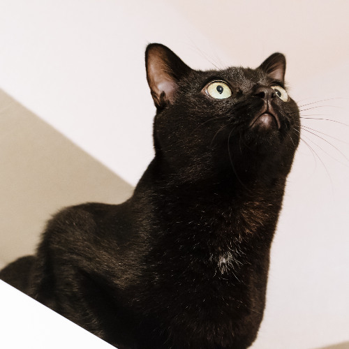 Lesson_09_Practice_03