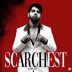 2- Scarchest