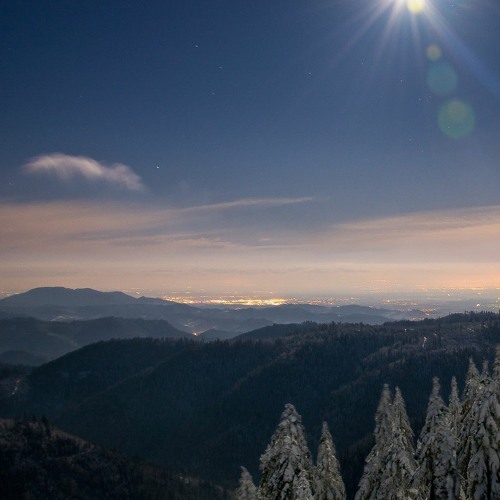 in this cold winter sky