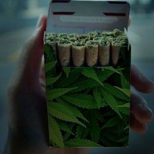 MC Leozinho ZS - Cês Não Dava Nada Pro Pai [Web Clipe]