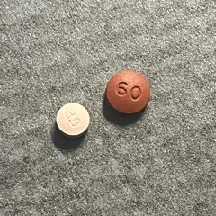 Going step last song