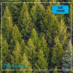 Bluepassage - The Forest