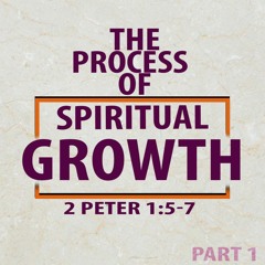 The Process Of Spiritual Growth : Part 1 - 2 Peter 1:5-7