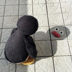 オレンジ