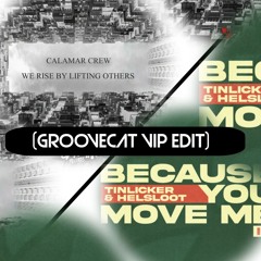 Because You Move Guapa( Groovecat Edit)