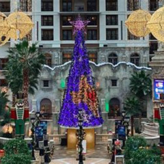 Best Fun Things To Do In Dallas December Tours Reviews