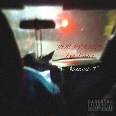 Your Friends Are Fake