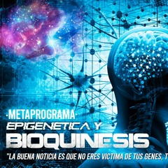 SUBLIMINAL OMNIVERSAL: MANIFIESTA LA VIDA DE TUS SUEÑOS