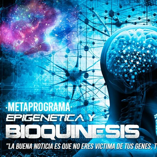 SUBLIMINAL OMNIVERSAL: MANIFIESTA LA VIDA DE TUS SUEÑOS