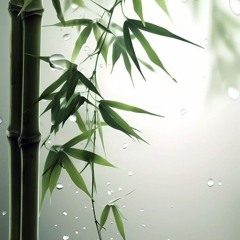 Nhạc trẻ