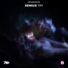Sensus - Try