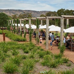 Matt Fowles from Fowles Winery about their new BatsNav technology