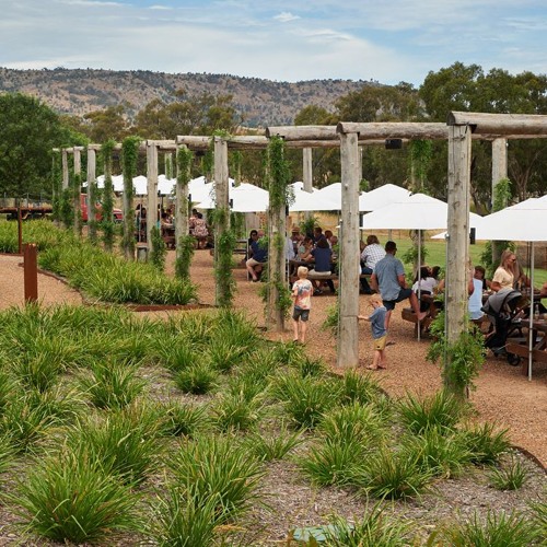 Matt Fowles from Fowles Winery about their new BatsNav technology
