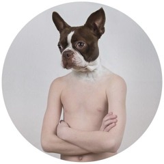 Podcasts