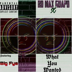 WHAT YOU WANTED FT BIG FYE