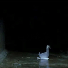 why is my life like this (demo)